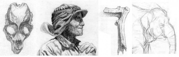 Graphite Pencil