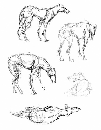 draw40