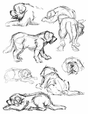 draw41