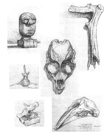 draw43